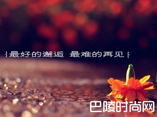 2017情人节表白的话语词句表达爱意