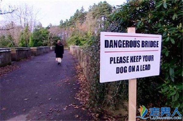 “鬼桥”致600多只小狗自杀 究竟是闹鬼还是有水貂？