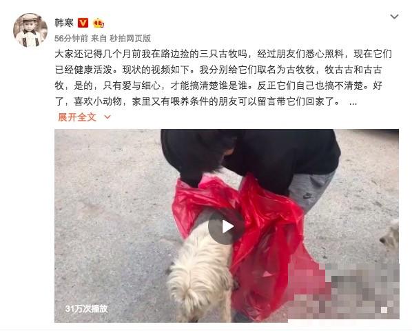 暖心！韩寒救助被弃“繁殖犬” 呼吁领养代替购买暖心！韩寒救助被弃“繁殖犬” 呼吁领养代替购买