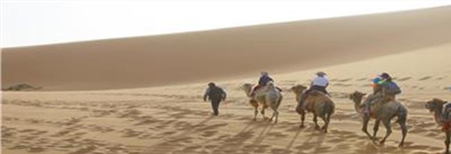【沙漠骆驼馒头版歌】“沙漠骆驼”讲述背后追梦故事