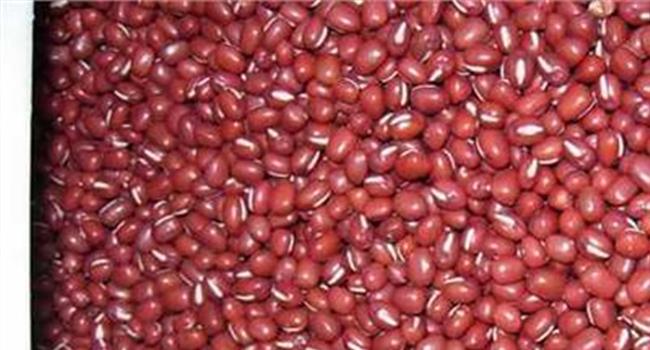 【赤小豆图片】赤小豆和红豆有什么区别 赤小豆和红豆对比图