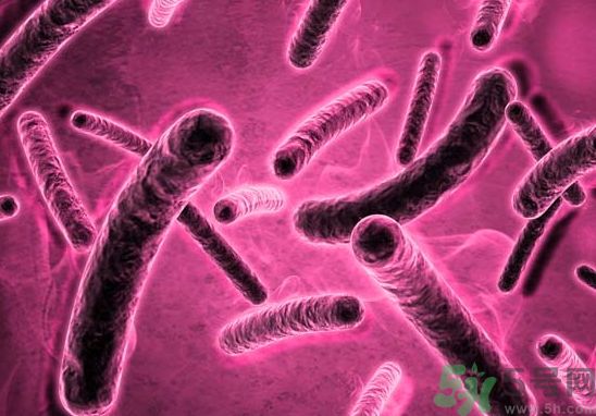超级细菌是什么?超级细菌有什么危害?