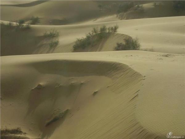 >庾澄庆热情的沙漠 沙坡头景区:西北明珠点燃沙漠的热情