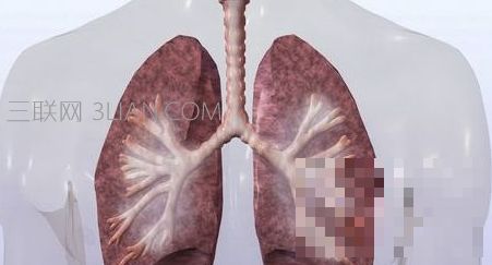 >如何增加肺活量