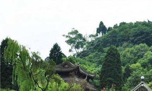 王朗自然保护区 探訪“大熊貓樂園”四川王朗國家級自然保護區