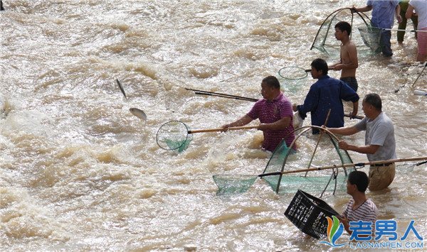 暴雨后市民蜂拥下河抓鱼 覆网和蚊帐齐上阵