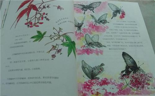 杨晓丽开心 用心去感受美丽大自然来自接待中心杨晓丽的随团笔记