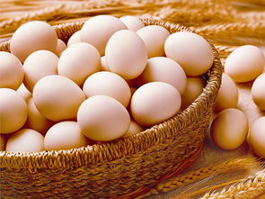 鸡蛋煮几分钟最有营养 最佳时间：8分钟左右