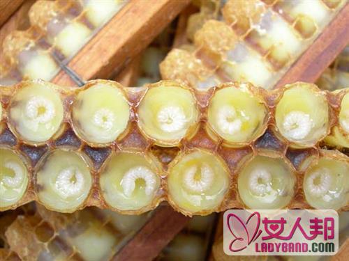 怎样鉴别蜂王浆、蜂花粉、蜂胶的真假