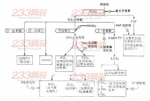 >汤以恒镇痛药 执业药师药物分析辅导:镇痛药与解热镇痛药