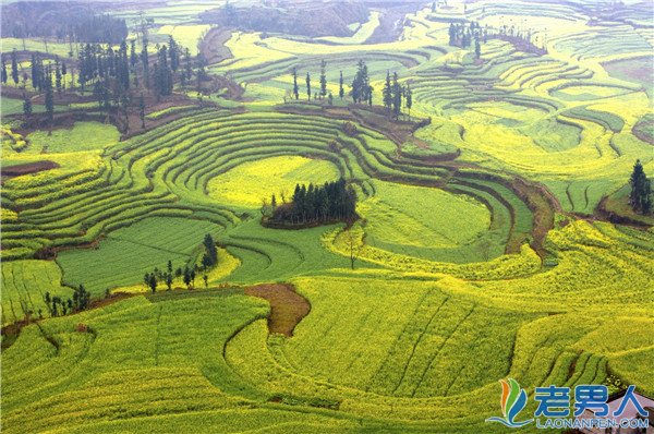 云南罗平自助旅游攻略 油菜花也可以这么美