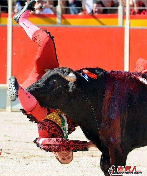 西班牙女斗牛士孔奇.里奥斯被公牛刺中大腿【图】