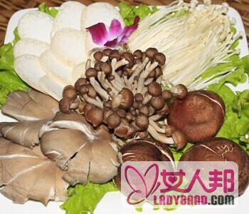 >【菌菇类的做法】菌菇类有哪些_菌菇类的营养价值