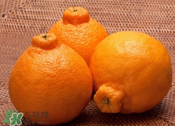 >丑八怪是橘子吗？丑八怪是桔子吗