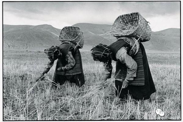 摄影师吕楠 吕楠成为中国大陆 首位马格南摄影师