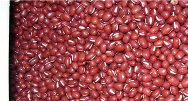 【红小豆的功效】赤小豆和红小豆的区别 食用方法