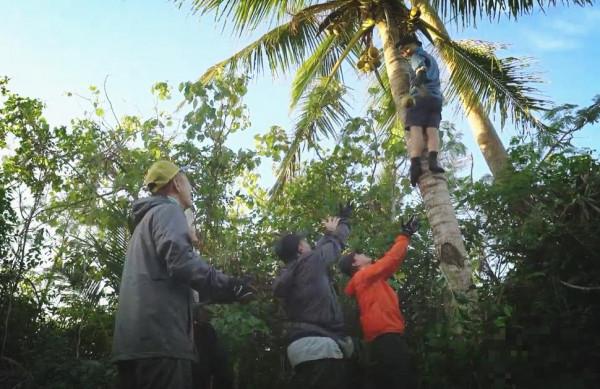 《我们的征途》汤加站尹正海上生火 田亮带伤爬树展现奥运精神