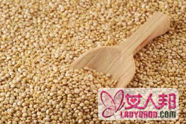 >营养黄金，藜麦的营养价值与食用功效