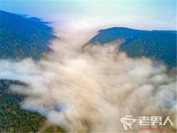 江苏大雾天气导致航班延误 数十条高速公路临时管制