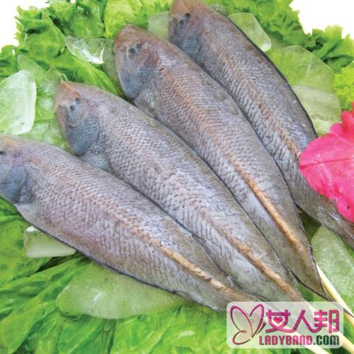 龙利鱼的功效与作用及食用方法_龙利鱼的营养价值