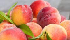 桃子的营养价值及功效