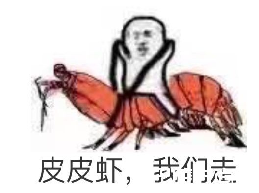 皮皮虾我走是什么意思 皮皮虾我走什么梗出自哪里