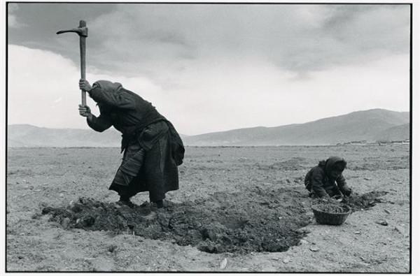 吕楠墓图片 吕楠《西藏》摄影作品欣赏|图片欣赏