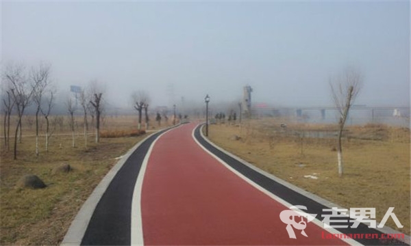 >北京将建自行车专用道 全程无红绿灯时速20公里