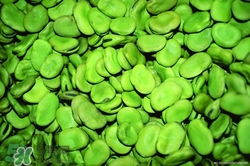 蚕豆可以生吃吗?蚕豆生吃有什么功效