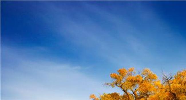 【内蒙古胡杨林风景区】秋天最美的“胡杨林” 各大旅行社强烈推荐