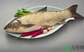 草鱼多少钱一斤？草鱼多少钱一斤2016？