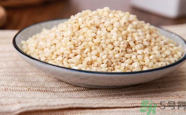 高粱米有什么功效？高粱米的功效是什么？