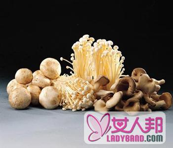 【菌菇类有哪些】菌菇类的营养价值_菌菇类的食用方法