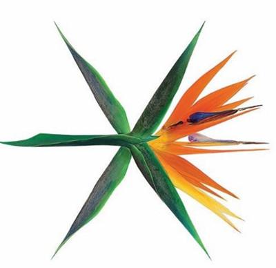 >exo2017新专辑logo图片 exothewar专辑照标志