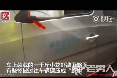 >小龙虾百慕大翻车 1000斤小龙虾路上遇“车祸”