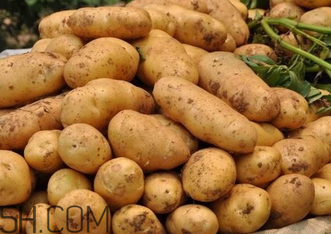 2018年土豆价格会怎么样 2018年土豆多少钱一斤