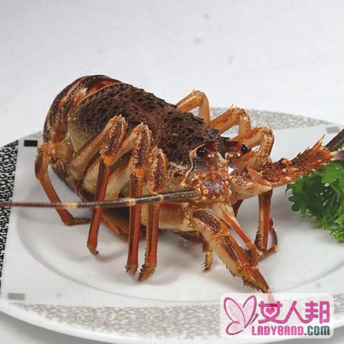 小龙虾的功效与作用及食用方法_小龙虾的营养价值
