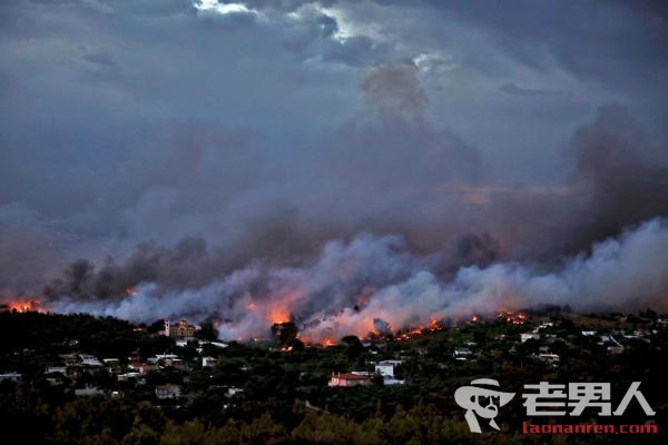 希腊森林大火阻断逃生路线 已致74死20人失踪