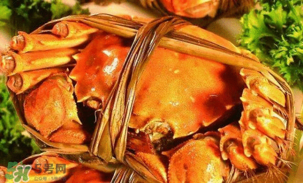 螃蟹吃什么食物长得大？十月份吃什么螃蟹？