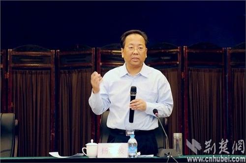 黄石市长杨晓波:坚持生态立市产业强市 建设鄂东特大城市