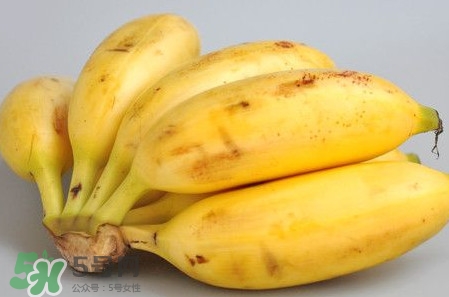帝王蕉多少钱一斤？帝王蕉是转基因香蕉吗